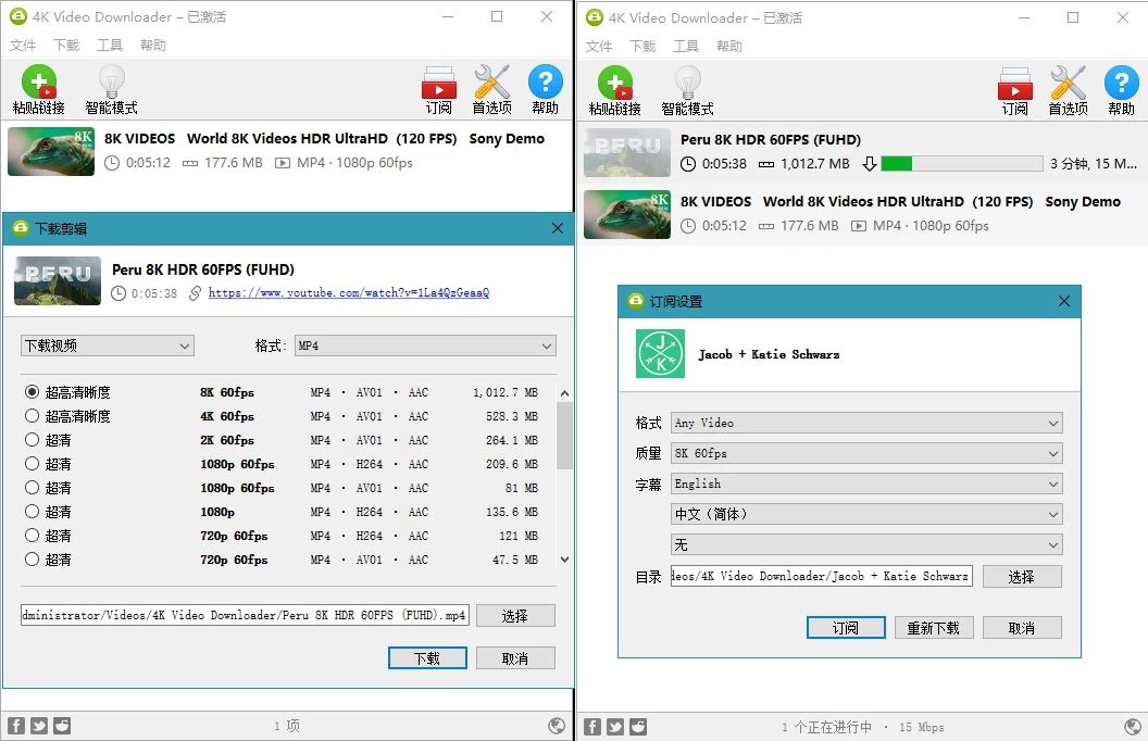 4K Video Downloader_v4.29.0.5640绿色便携版