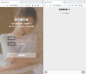 匿名社交源码 七分钟交友匿名聊天室源码 匿名聊天网站源码大全最新 多人在线聊天交友工具-极客酱
