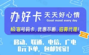 极客酱三网大流量卡，0元包邮到家，招募代理，佣金100多/单！-极客酱