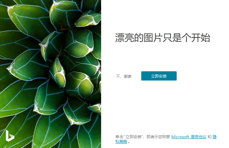 图片[1]-Bing Wallpaper v2.0.1.4中文版 | 每日必应壁纸自动更新，焕新桌面新体验-极客酱