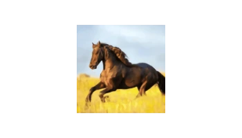 你的电视（YourTV）v2.0.3 | 海量频道免费看，免登录纯净直播神器-极客酱